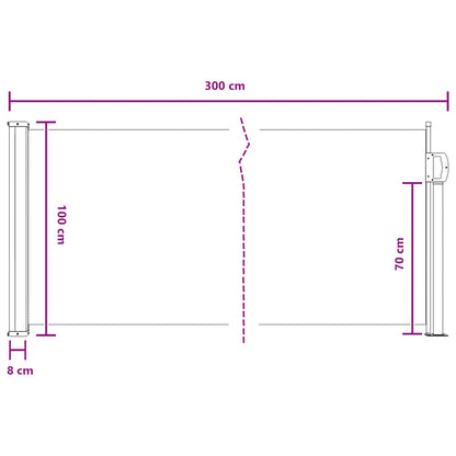 Uittrekbaar Zijscherm Zand 300 x 100 cm Polyester