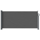 Retractable Side Awning Anthracite 300 x 100 cm Polyester