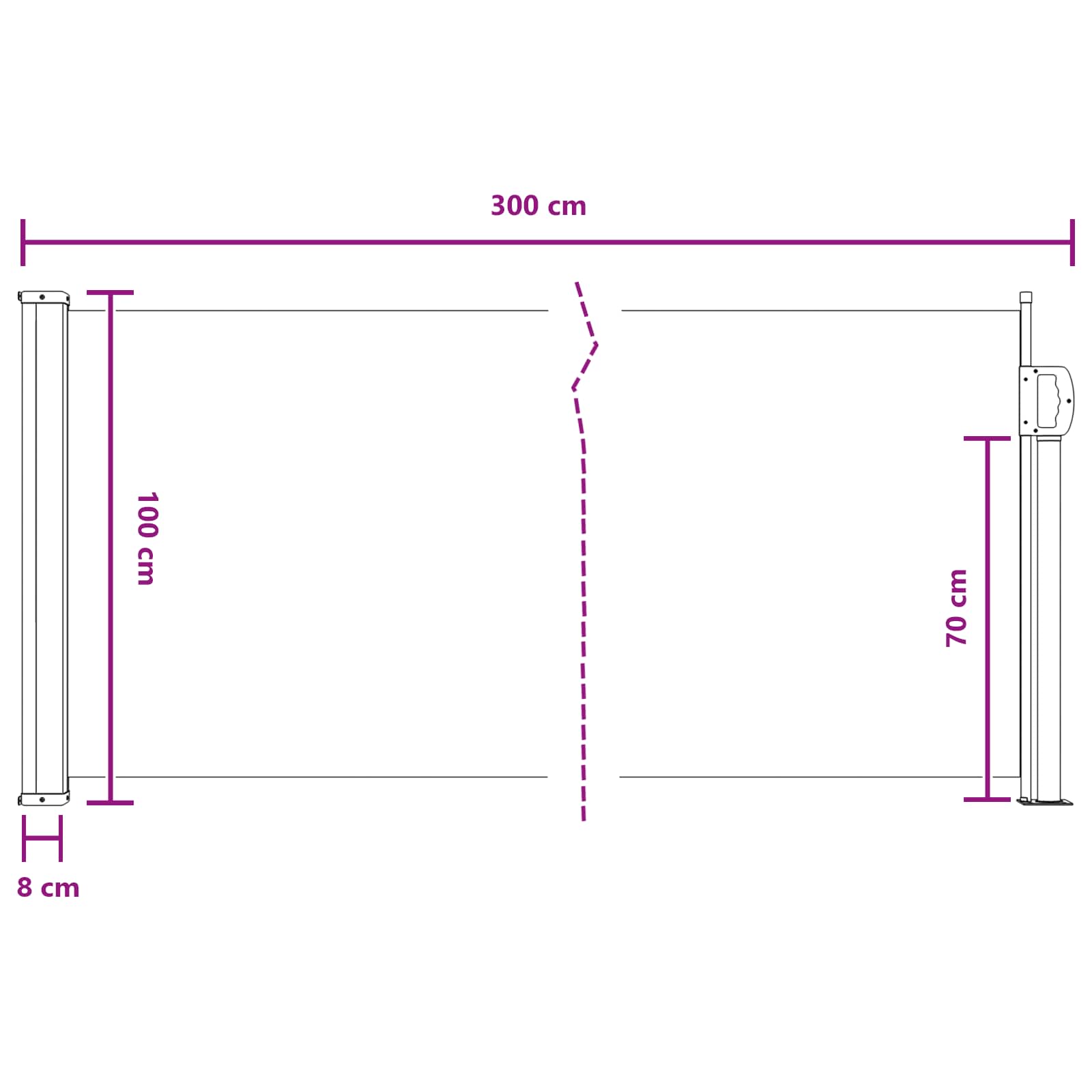 Uittrekbaar Zijscherm Antracietkleurig 300 x 100 cm Polyester