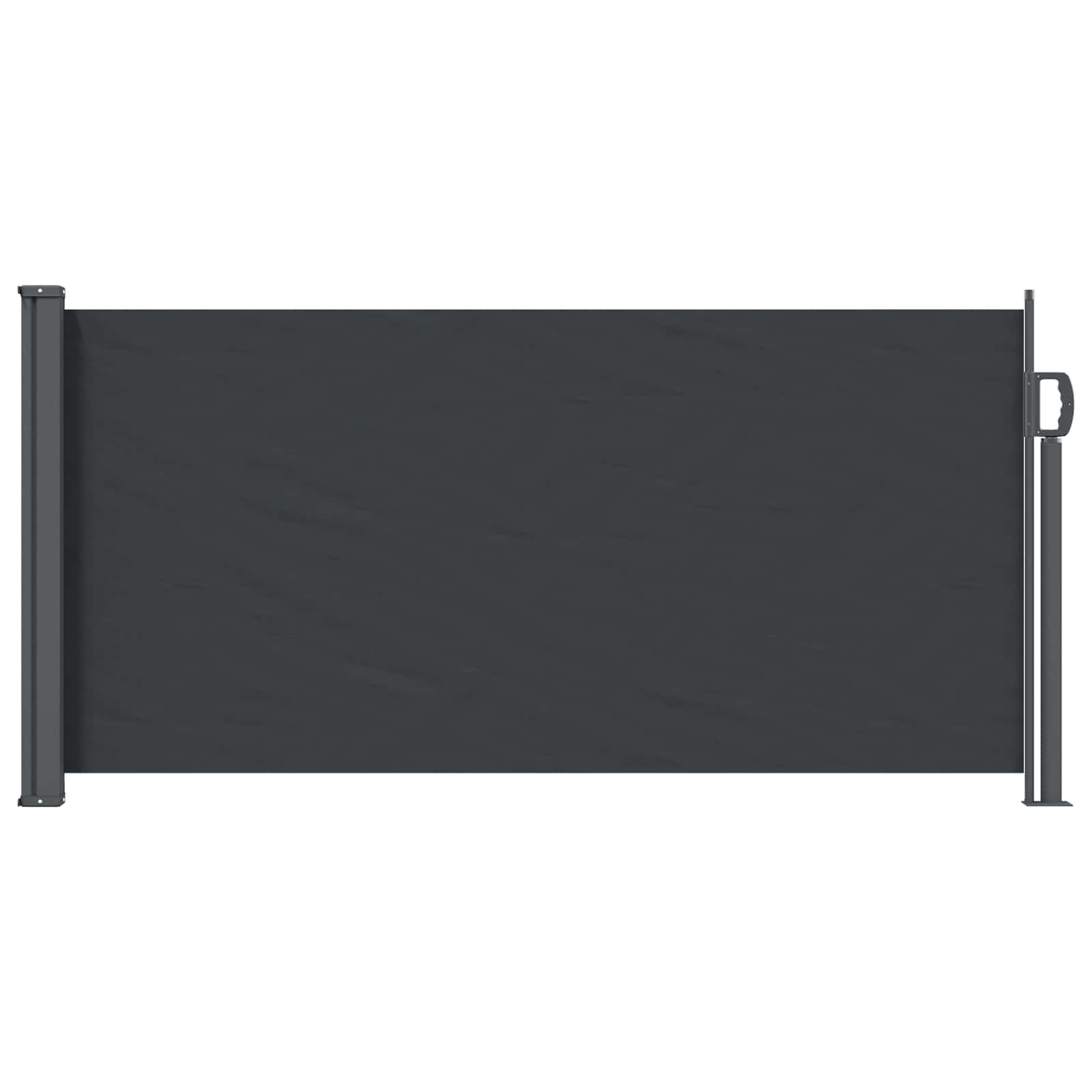 Uittrekbaar Zijscherm Zwart 300 x 100 cm Polyester