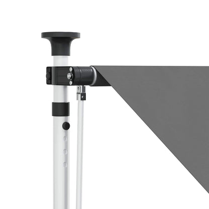 Handmatig uitschuifbare luifel Lichtgrijs 250 cm