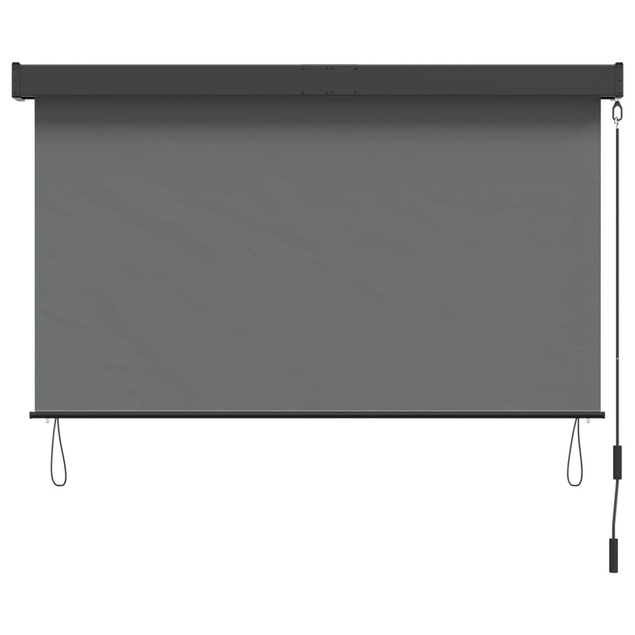 Rolgordijn Lichtgrijs 60 x 250 cm Stof en Aluminium
