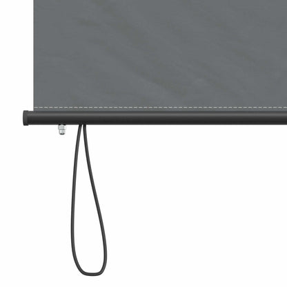 Rolgordijn Lichtgrijs 100 x 250 cm Stof en Aluminium