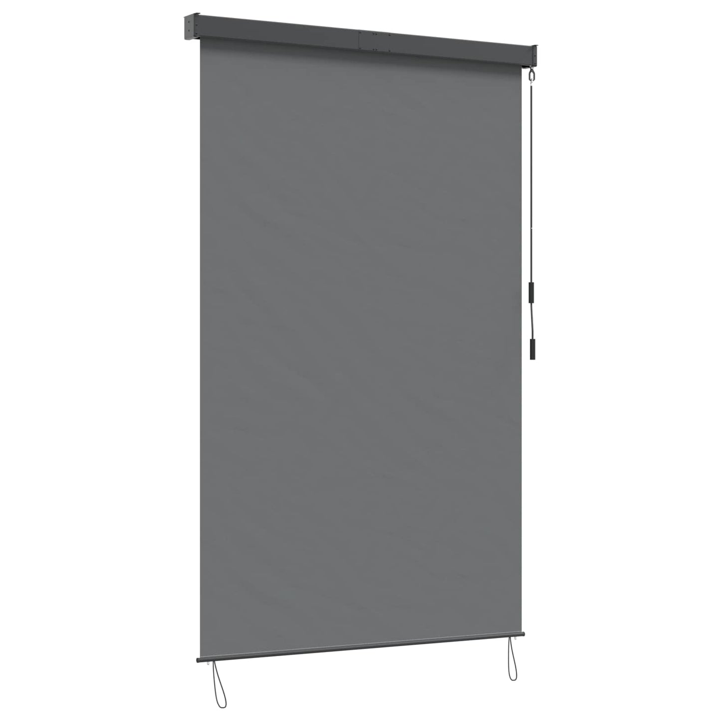 Rolgordijn Lichtgrijs 100 x 250 cm Stof en Aluminium