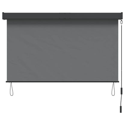 Rolgordijn Lichtgrijs 100 x 250 cm Stof en Aluminium