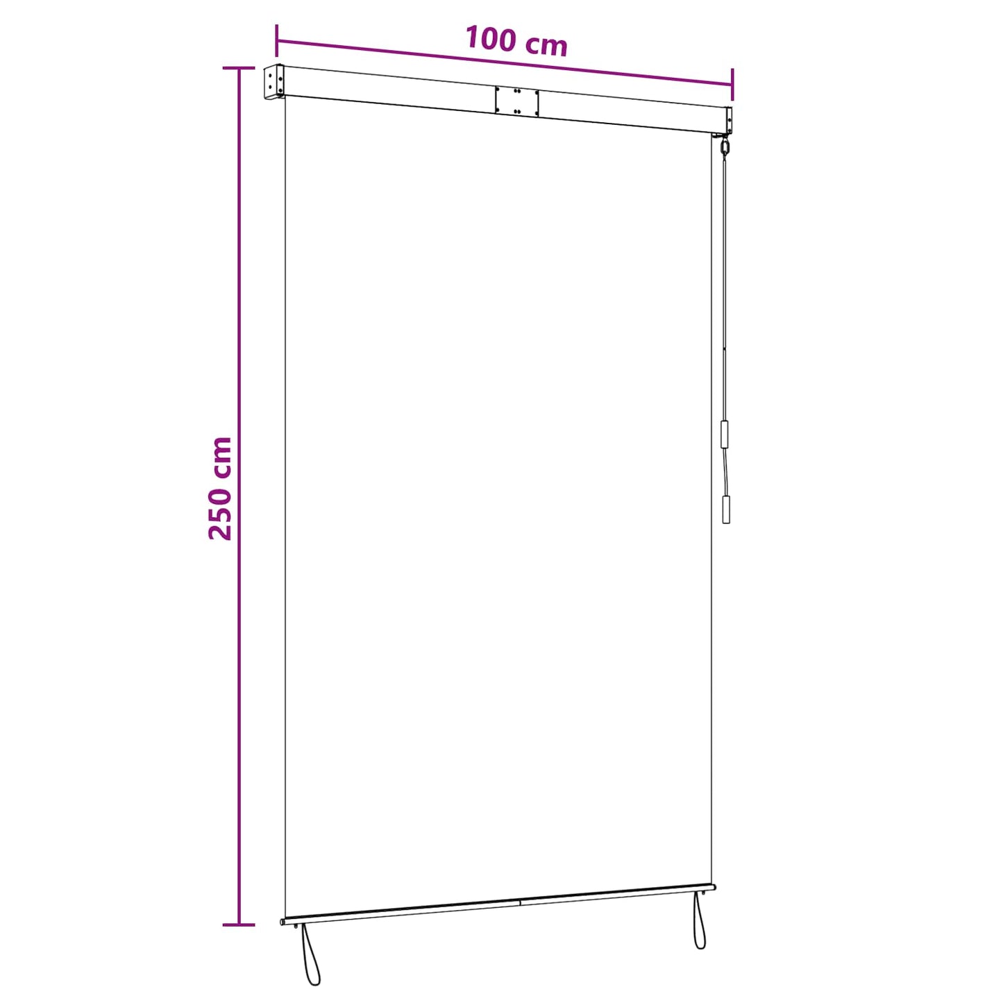 Rolgordijn Lichtgrijs 100 x 250 cm Stof en Aluminium