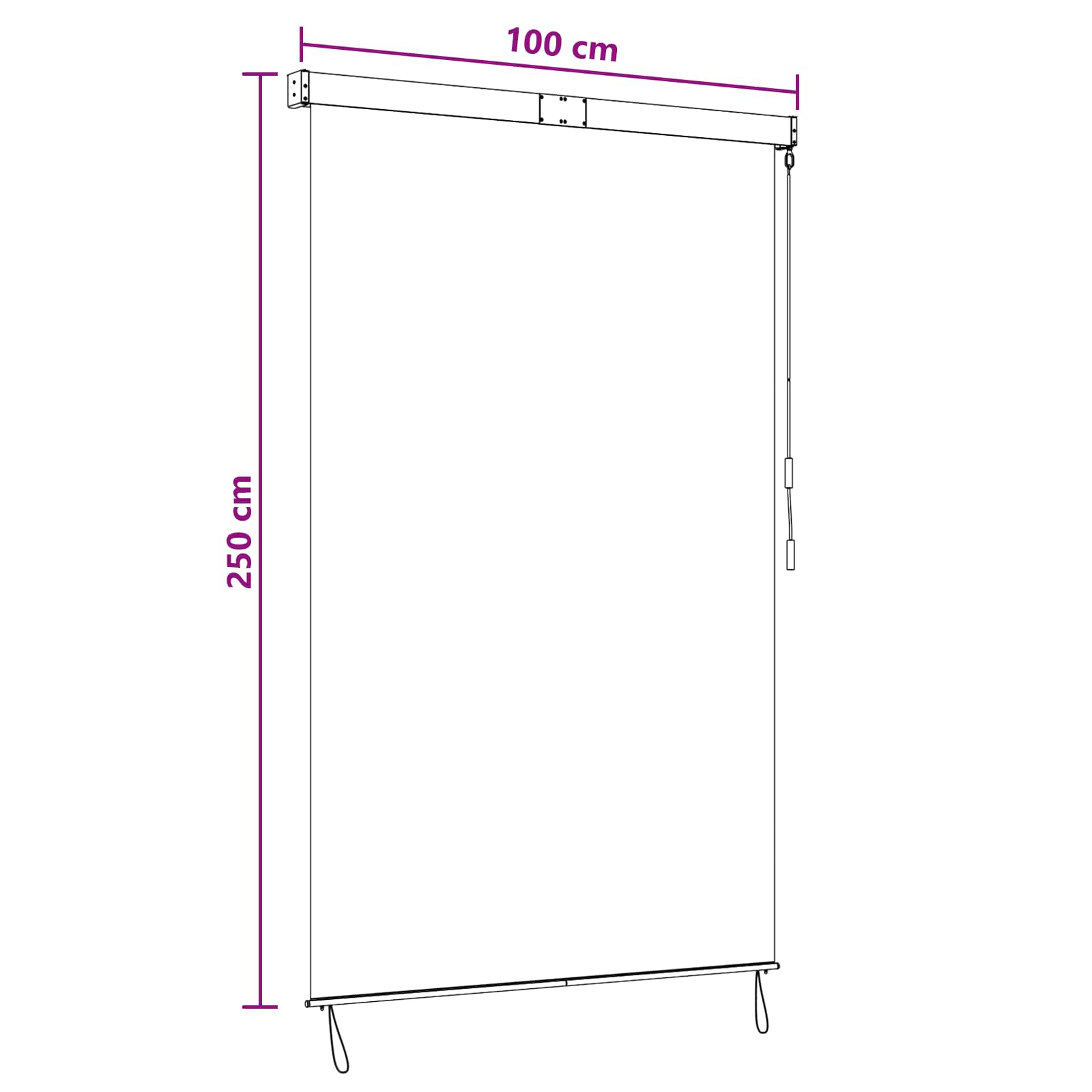 Rolgordijn Lichtgrijs 100 x 250 cm Stof en Aluminium