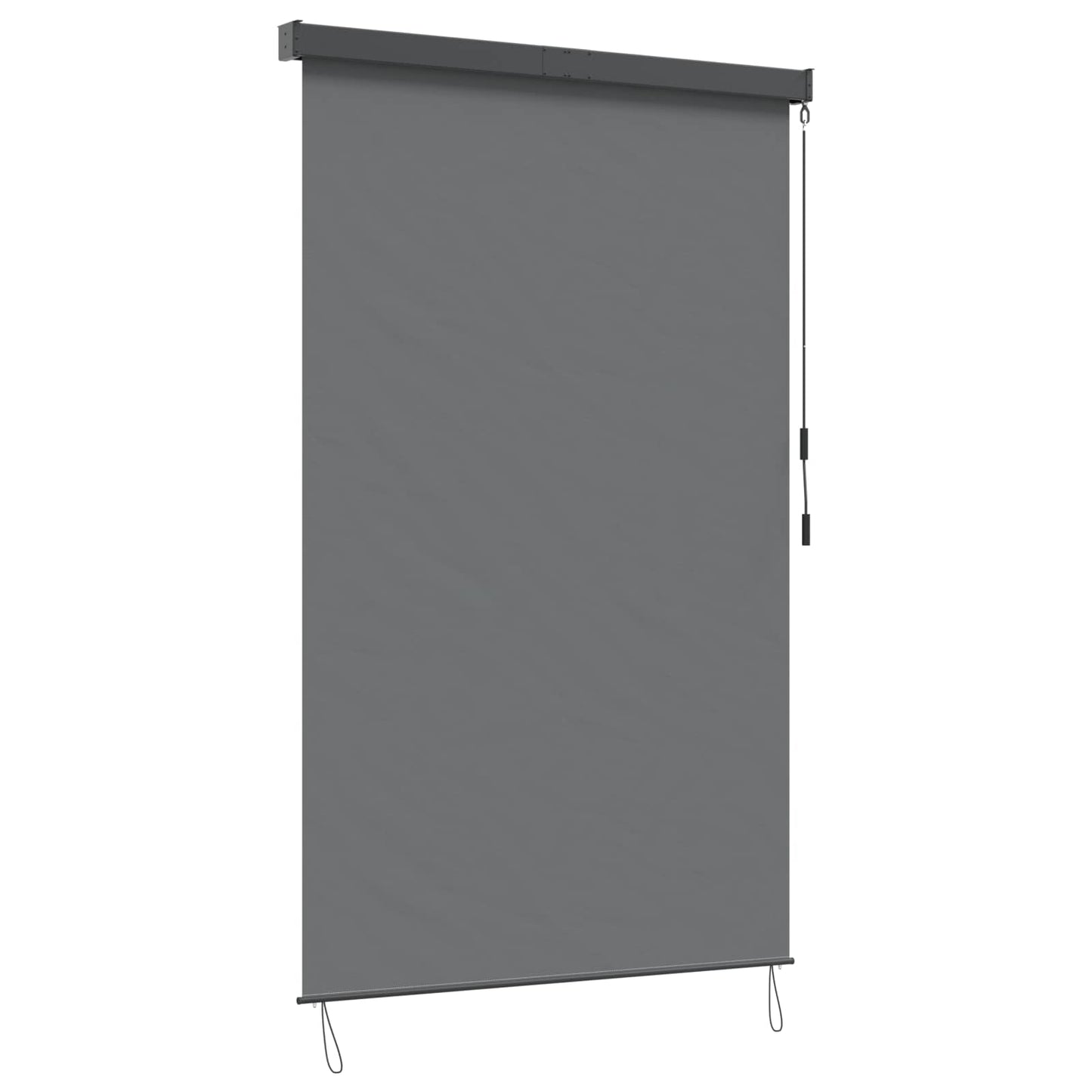 Rolgordijn Lichtgrijs 120 x 250 cm Stof en Aluminium