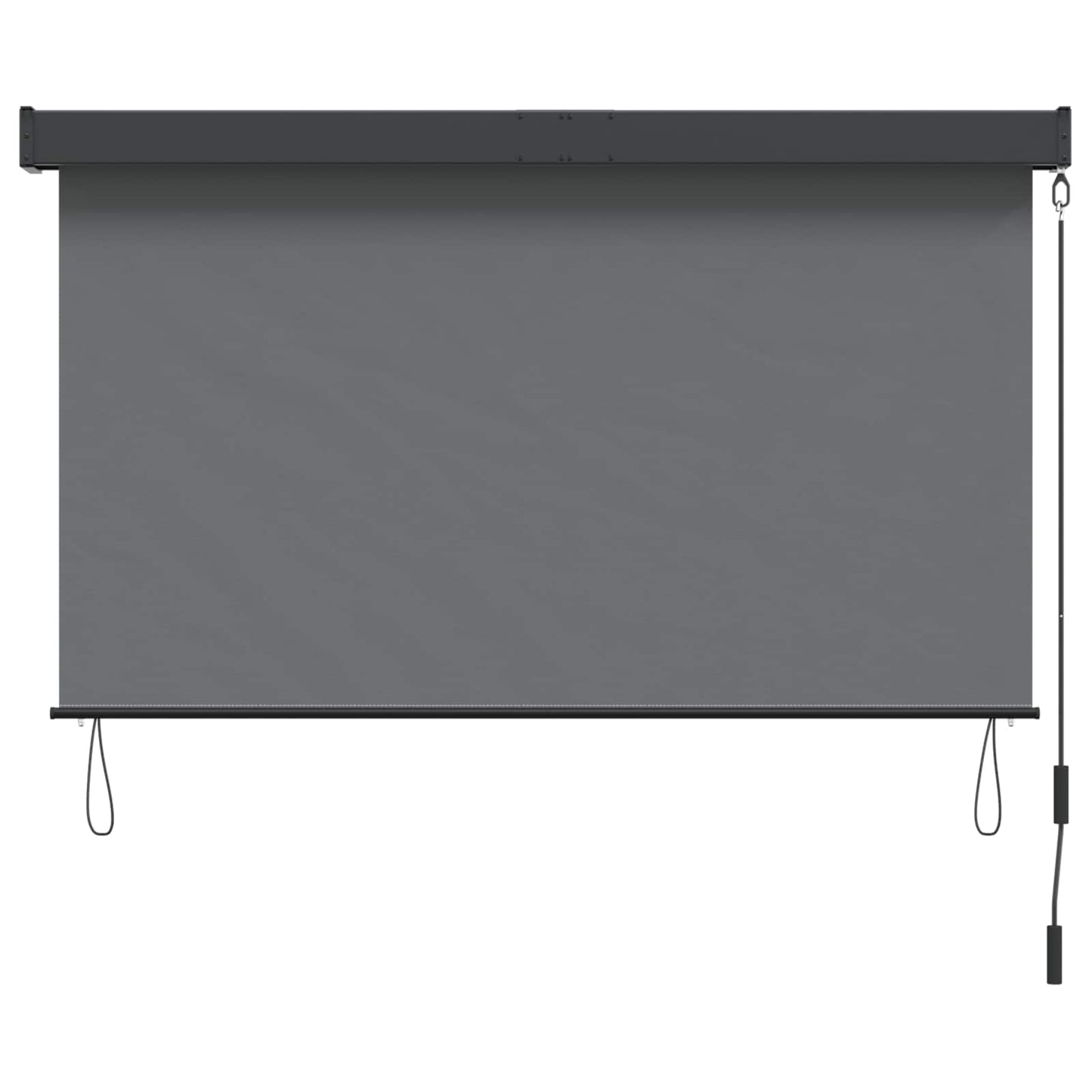 Rolgordijn Lichtgrijs 120 x 250 cm Stof en Aluminium