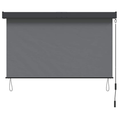 Rolgordijn Lichtgrijs 120 x 250 cm Stof en Aluminium