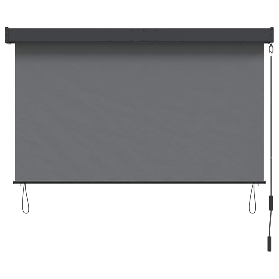 Rolgordijn Lichtgrijs 120 x 250 cm Stof en Aluminium
