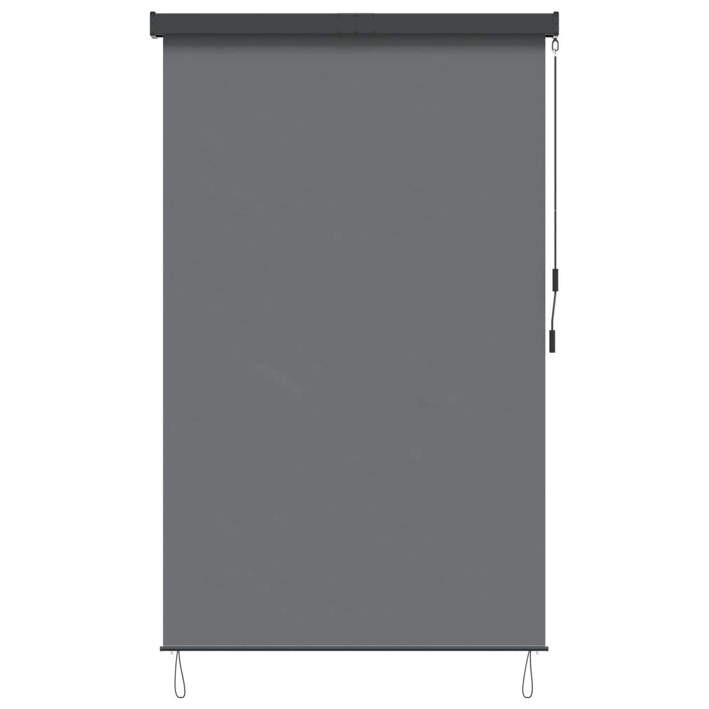 Rolgordijn Lichtgrijs 120 x 250 cm Stof en Aluminium