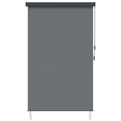 Rolgordijn Lichtgrijs 120 x 250 cm Stof en Aluminium