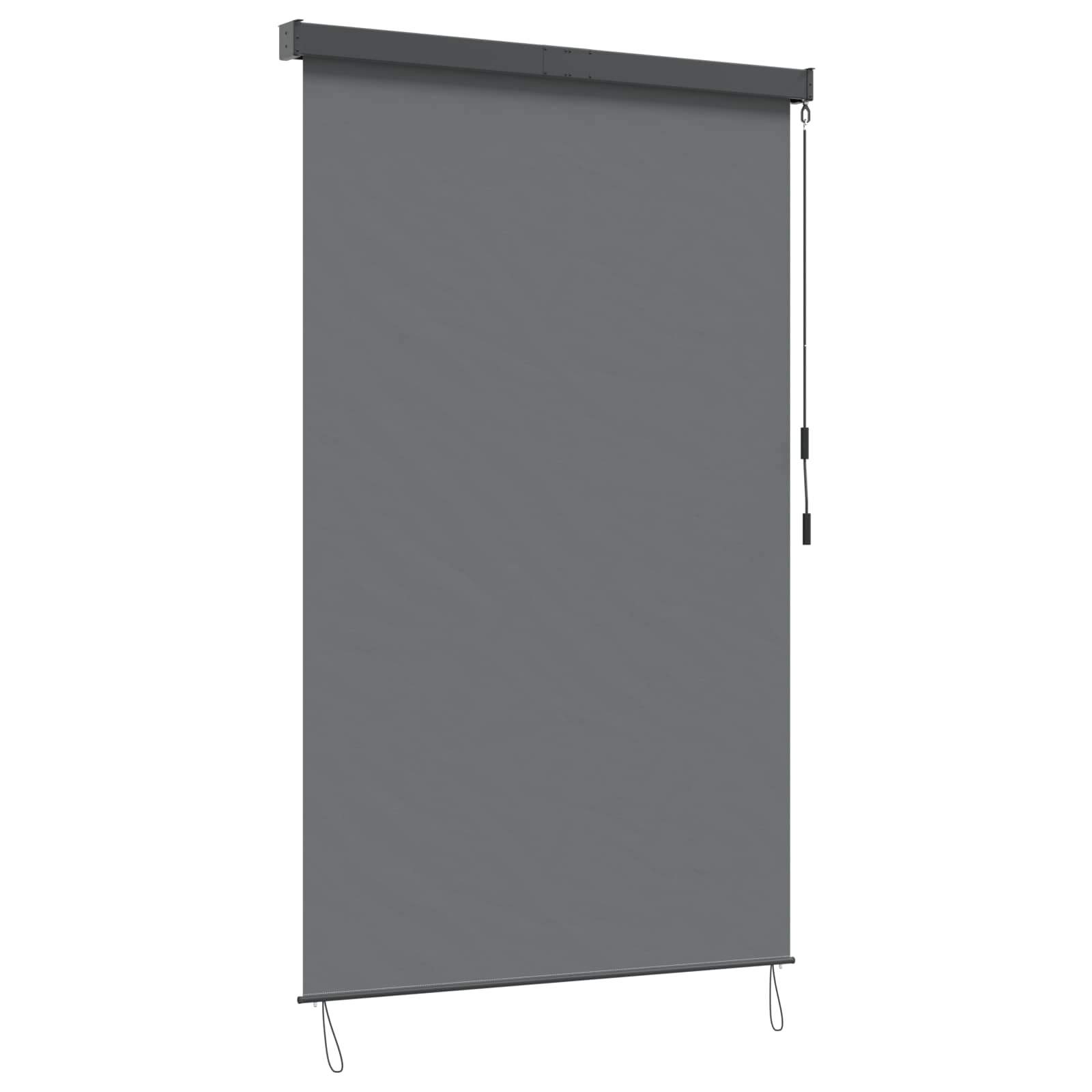 Rolgordijn Lichtgrijs 160 x 250 cm Stof en Aluminium