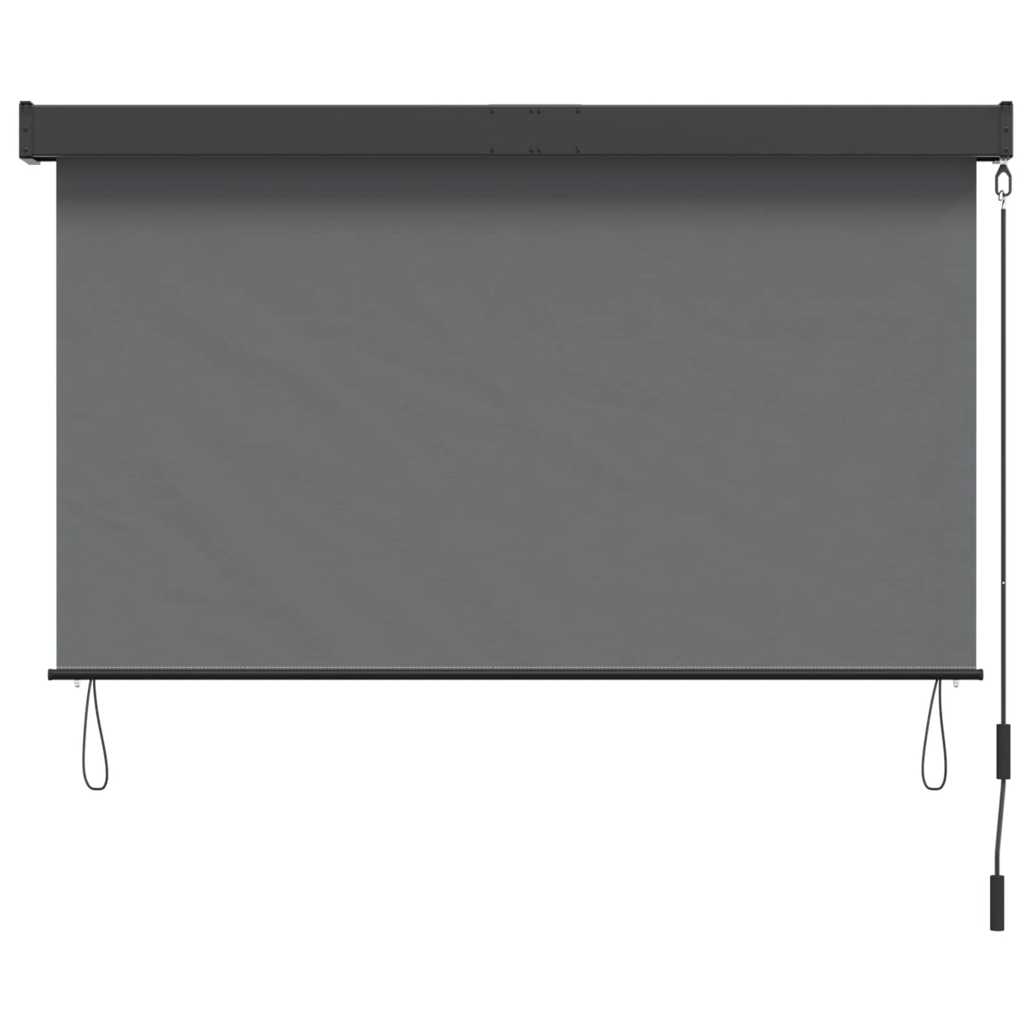 Rolgordijn Lichtgrijs 160 x 250 cm Stof en Aluminium