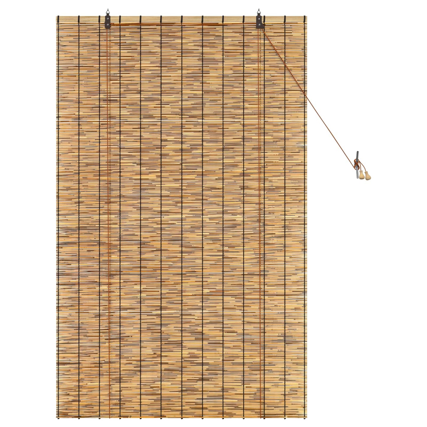 Rolgordijn Bruin 100 x 160 cm Riet