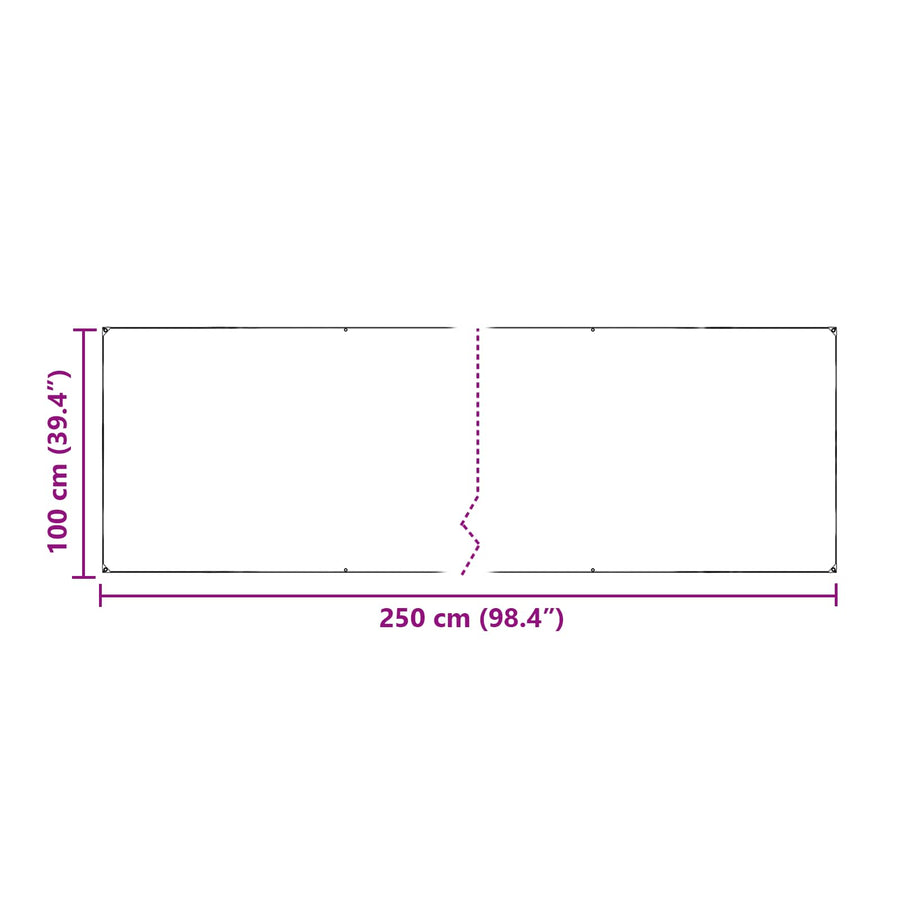 Plantenhoes Doorzichtig 2,5 x 1 m PE