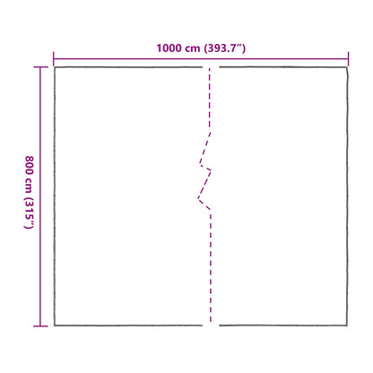Zeil met Oogjes Doorzichtig 8 x 10 m Polyetheen