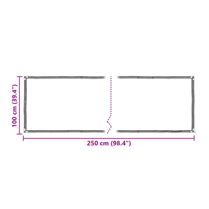 Plantenhoes Doorzichtig 2,5 x 1 m PE