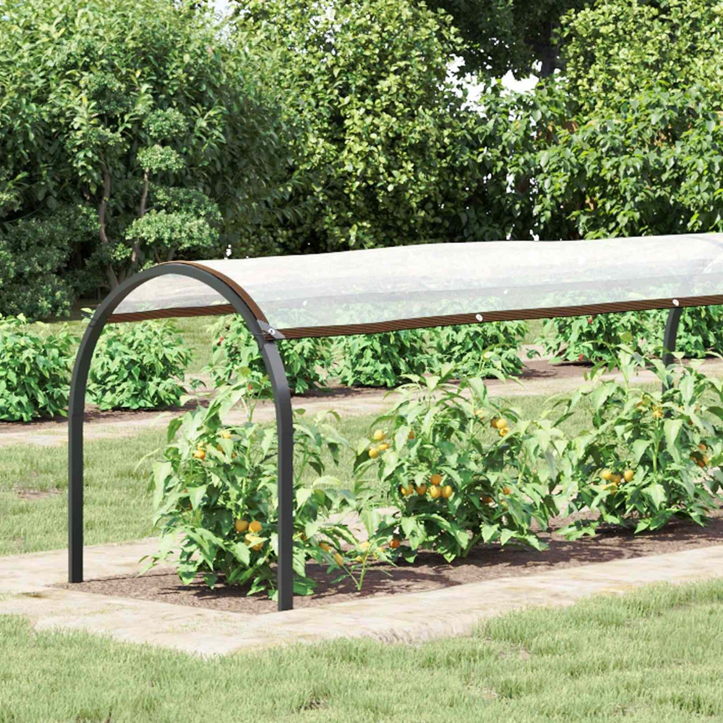 Plantenhoes Doorzichtig 20 x 1,5 m PE