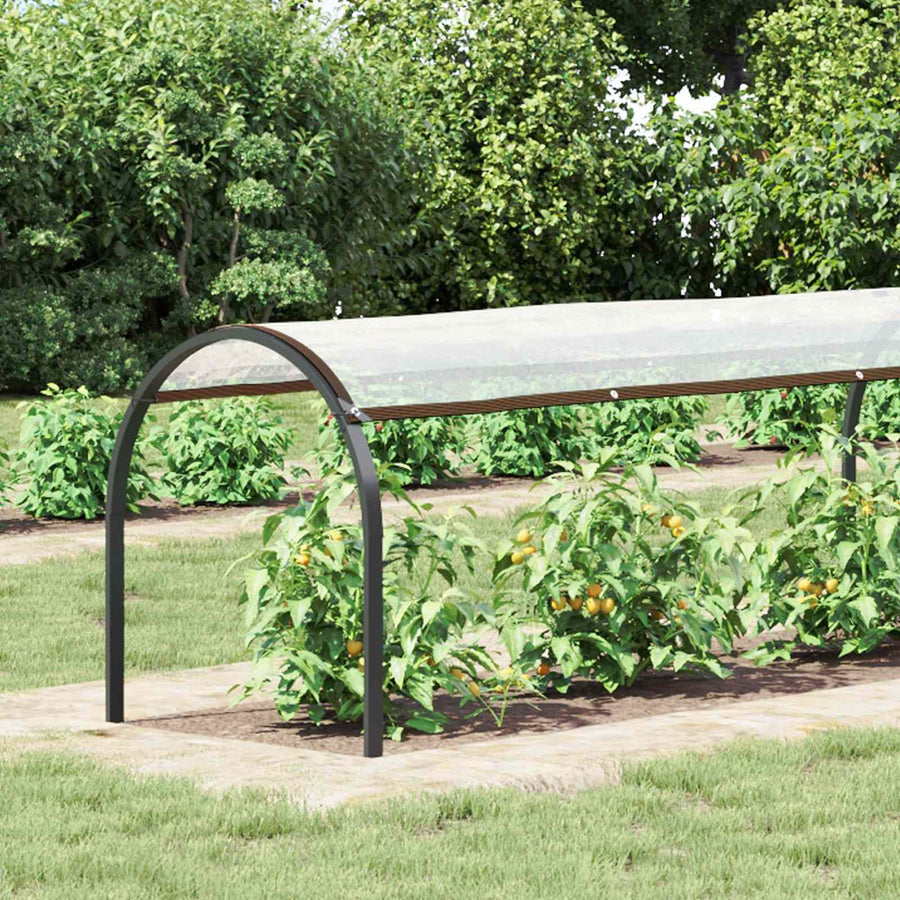 Plantenhoes Doorzichtig 2,5 x 1,5 m PE