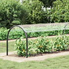Plantenhoes 10 x 1,5 m PVC doorzichtig