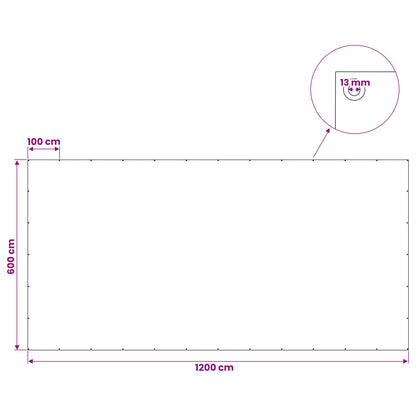 Zeil met Oogjes Antraciet Grijs 6 x 12 m 260 gsm PE