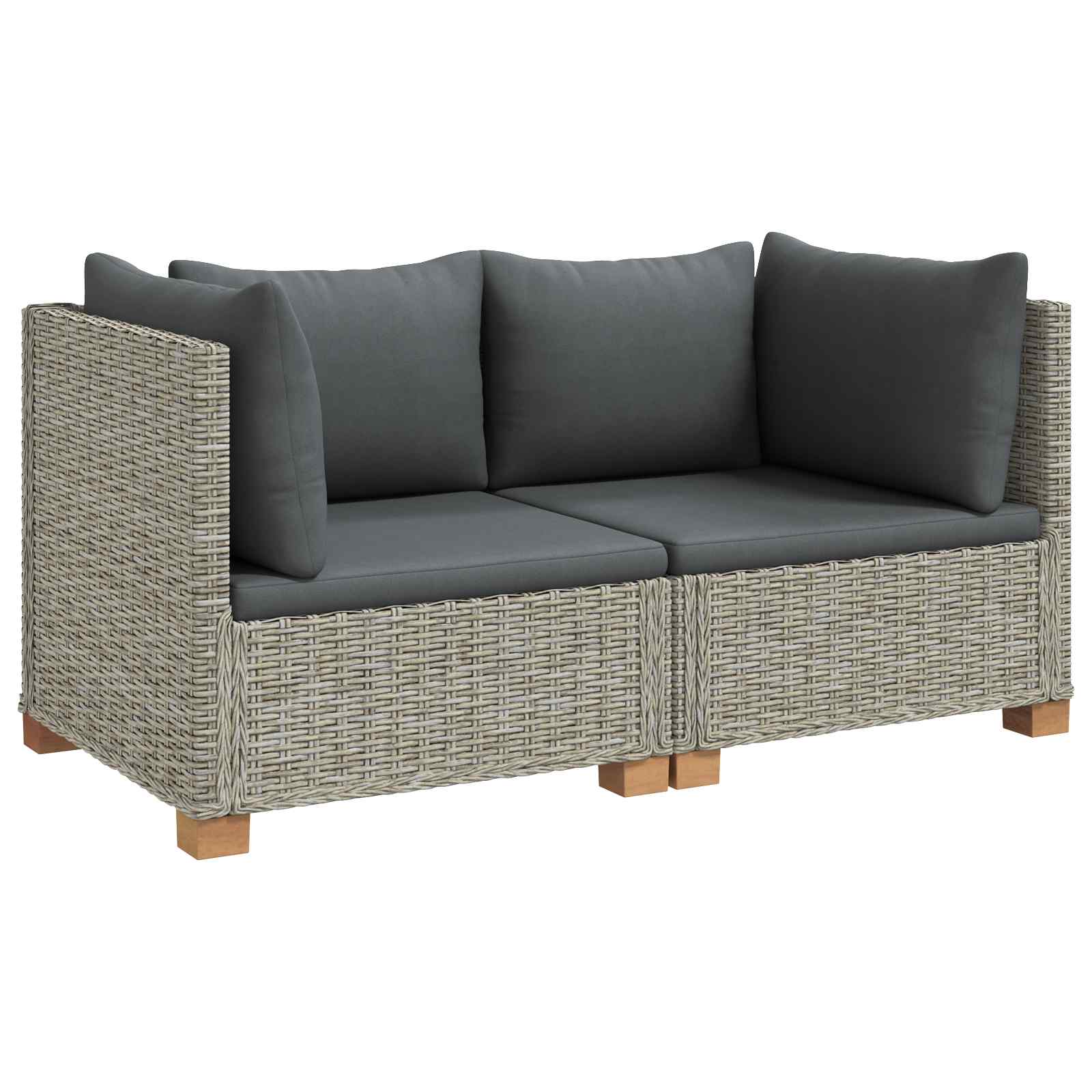 2 st Rieten Loungeset met Kussens GENDT Natuurlijk rattan