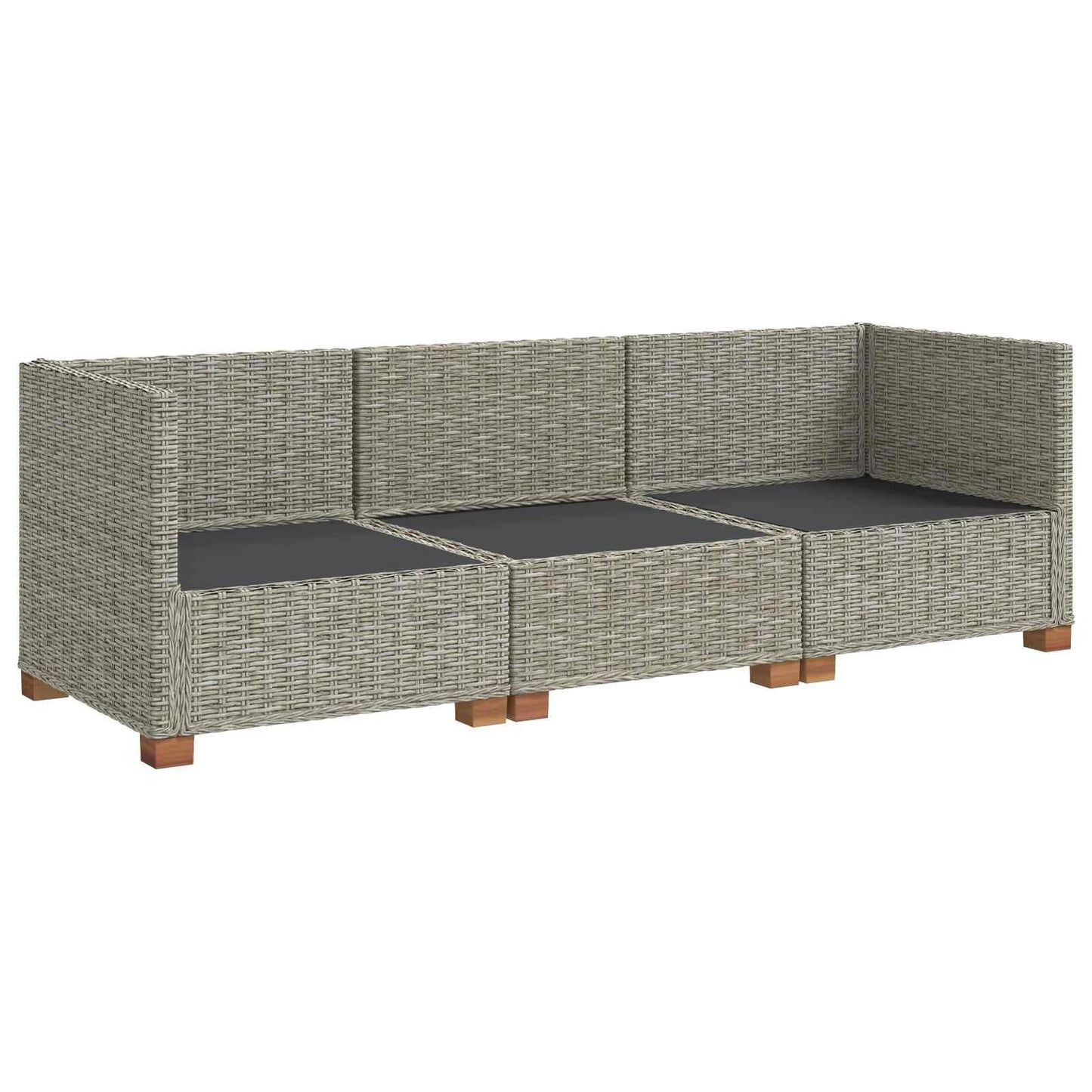 3 st Rieten Loungeset met Kussens GENDT Natuurlijk rattan