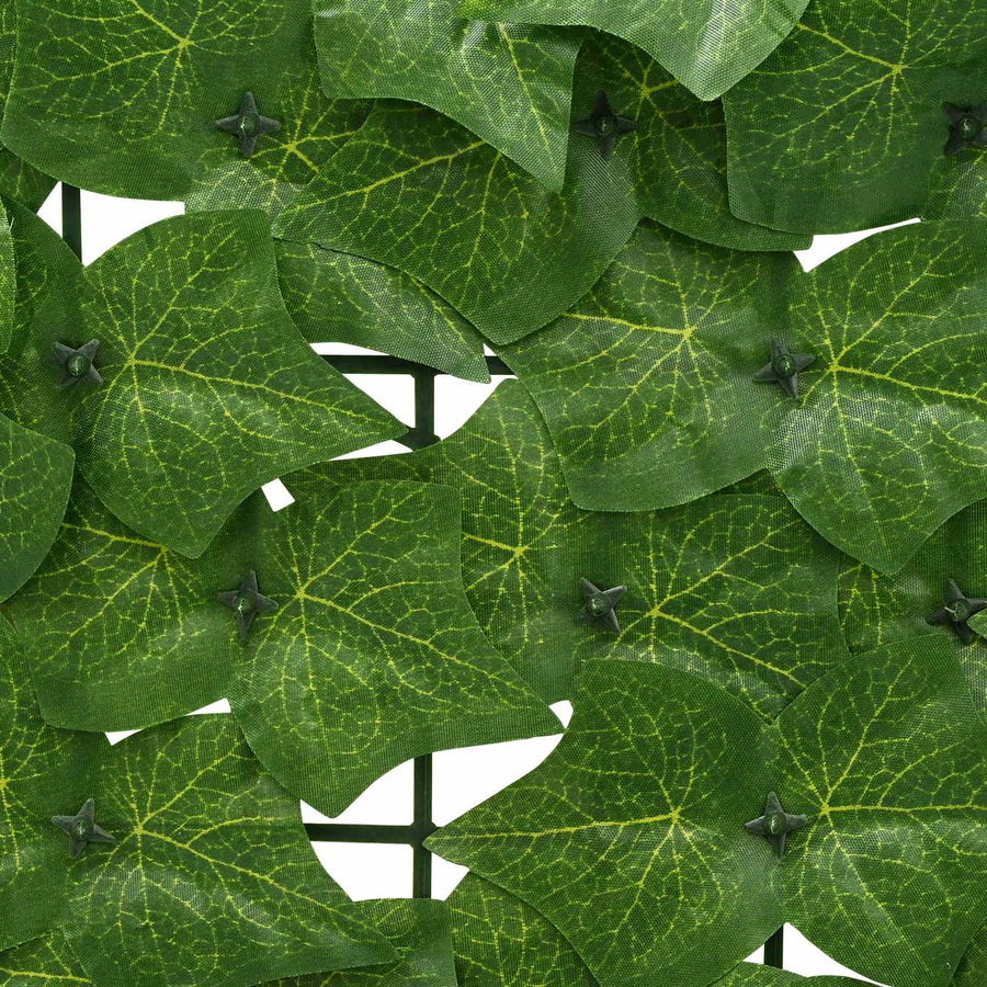 Balkonscherm met bladeren Groen 600 x 75 cm