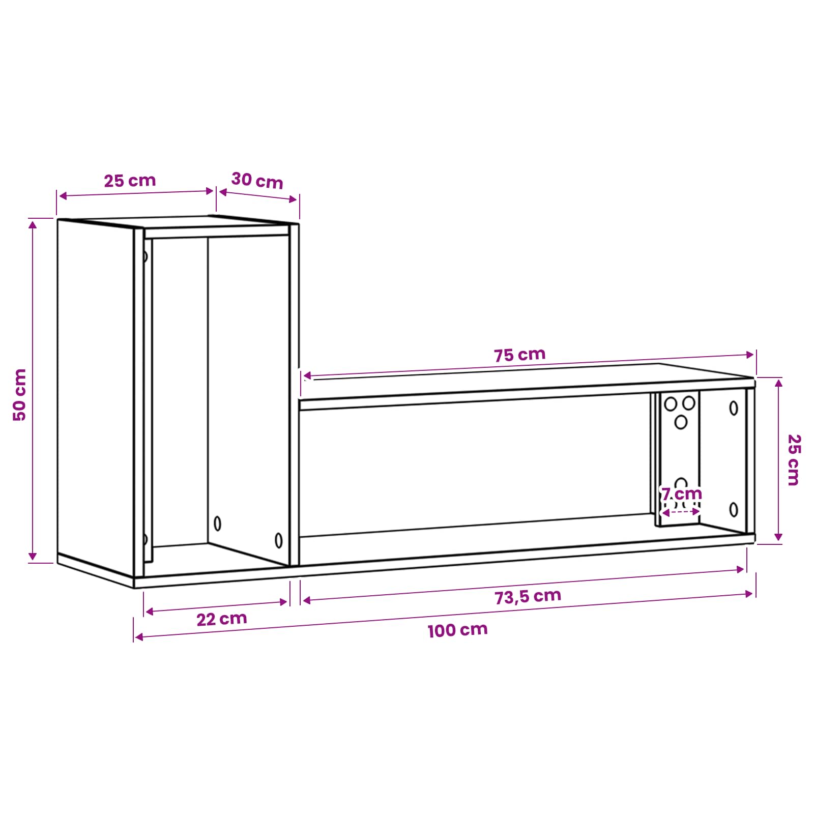 TV-kast 100 x 30 x 50 cm Oud hout Bewerkt hout
