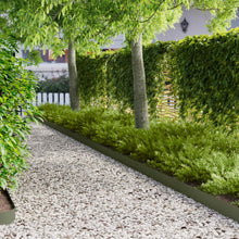 Tuinrand 30 pcs 103 x 15 cm metaal Olijfgroen