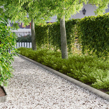 Tuinrand 30 pcs 103 x 15 cm metaal Zilverkleurig