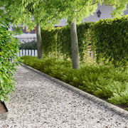 Gazonrand metaal zilverkleurig 103x15 cm 10 stuks