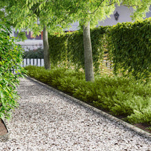 Gazonrand 50 pcs 103 x 10 cm Staal Zilverkleurig