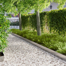 Gazonrand 30 pcs 103 x 15 cm Staal Zilverkleurig