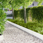 Gazonrand 30 stuks 100x25 cm staal wit