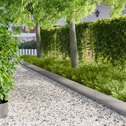 Gazonrand 20 stuks 100x25 cm staal zilverkleurig