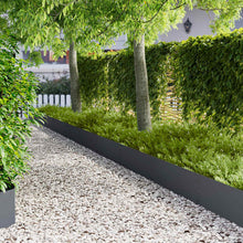 Gazonrand 10 pcs 100 x 30 cm Staal Antracietkleurig