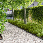 Gazonrand 10 stuks 102x4 cm staal zwart