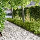 Gazonrand 10 st 102x4 cm staal olijfgroen
