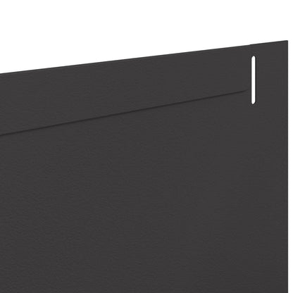 Gazonrand 10 st 102 x 10 x 4 cm Staal Zwart