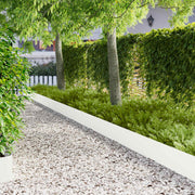 Gazonrand 10 st 100x18 cm staal wit