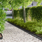 Gazonrand 20 st 100 x 10 x 8 cm Staal Zwart