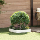 Gazonrand 60 x 60 x 20 cm Staal Wit