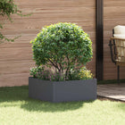 Gazonrand 60 x 60 x 35 cm Staal Antracietkleurig