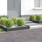 Gazonrand 4 st 100 x 60 x 20 cm Staal Zwart