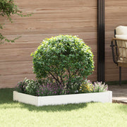 Gazonrand 100x60x20 cm staal wit