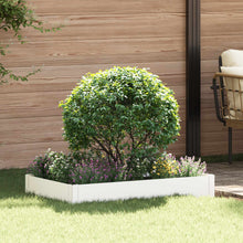Gazonrand 100 x 60 x 20 cm Staal Wit