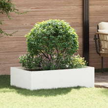 Gazonrand 100 x 60 x 35 cm Staal Wit